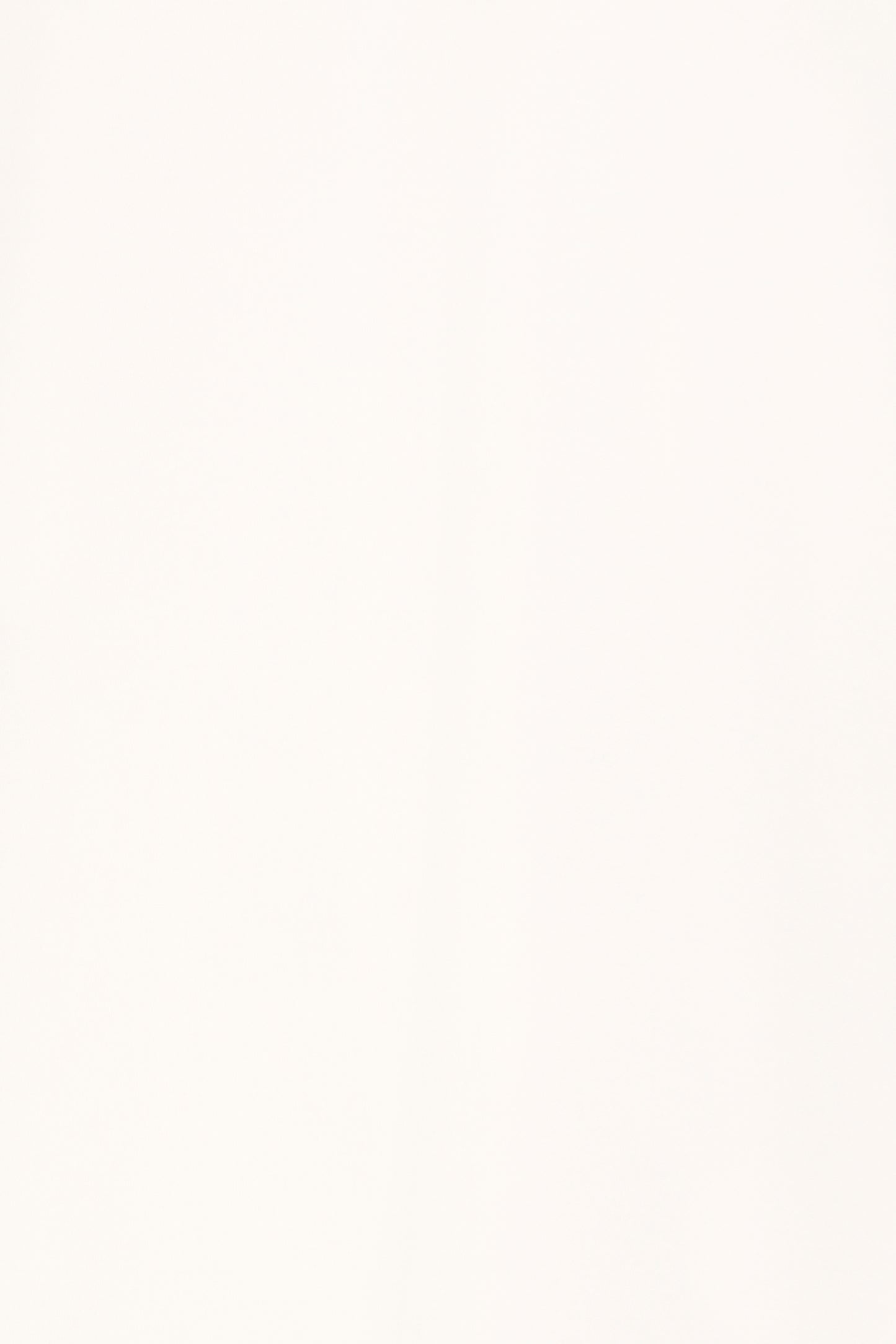 Pusti Hoodie by b.young