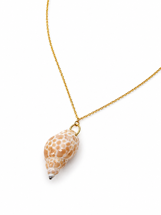 Blush Spiral Shell Necklace by Rhondi Rocks