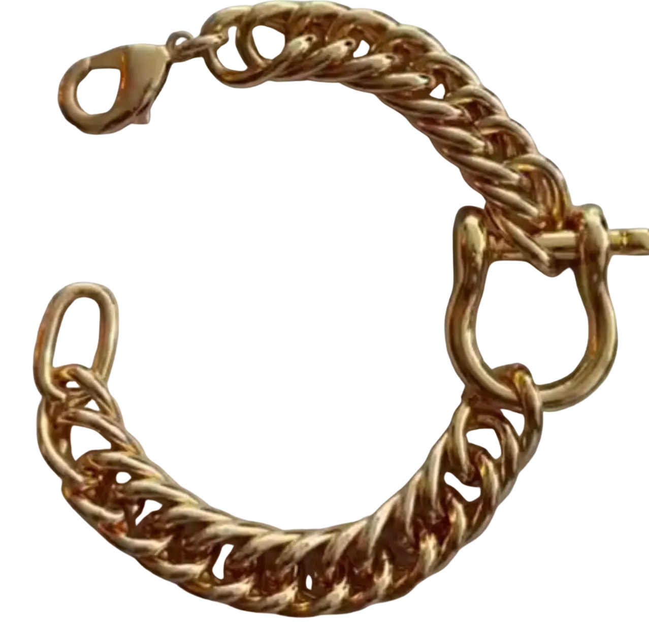 Horse Bit Carabiner Cuban Bracelet Bracelet HoopLa Style
