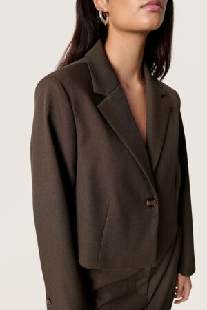 Corinne Cropped Blazer by Soaked in Luxury Apparel Soaked In Luxury