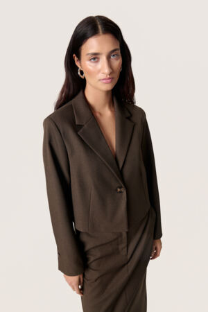 Corinne Cropped Blazer by Soaked in Luxury Apparel Soaked In Luxury Brown