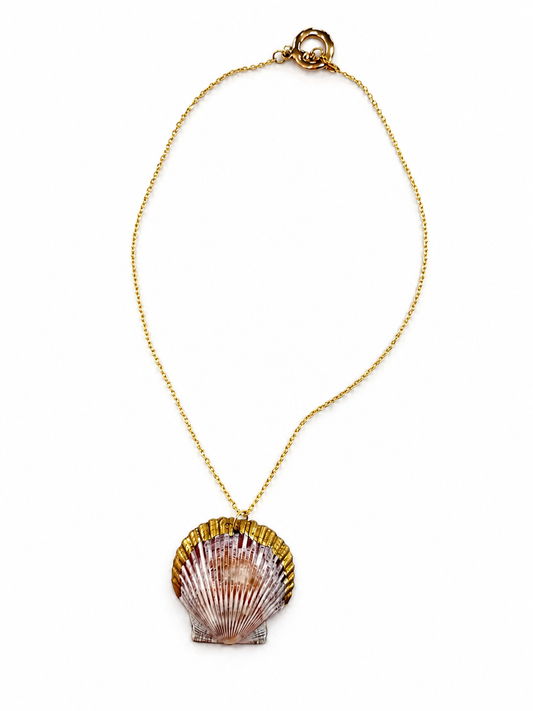 Gold-Edged Scallop Shell Necklace by Rhondi Rocks