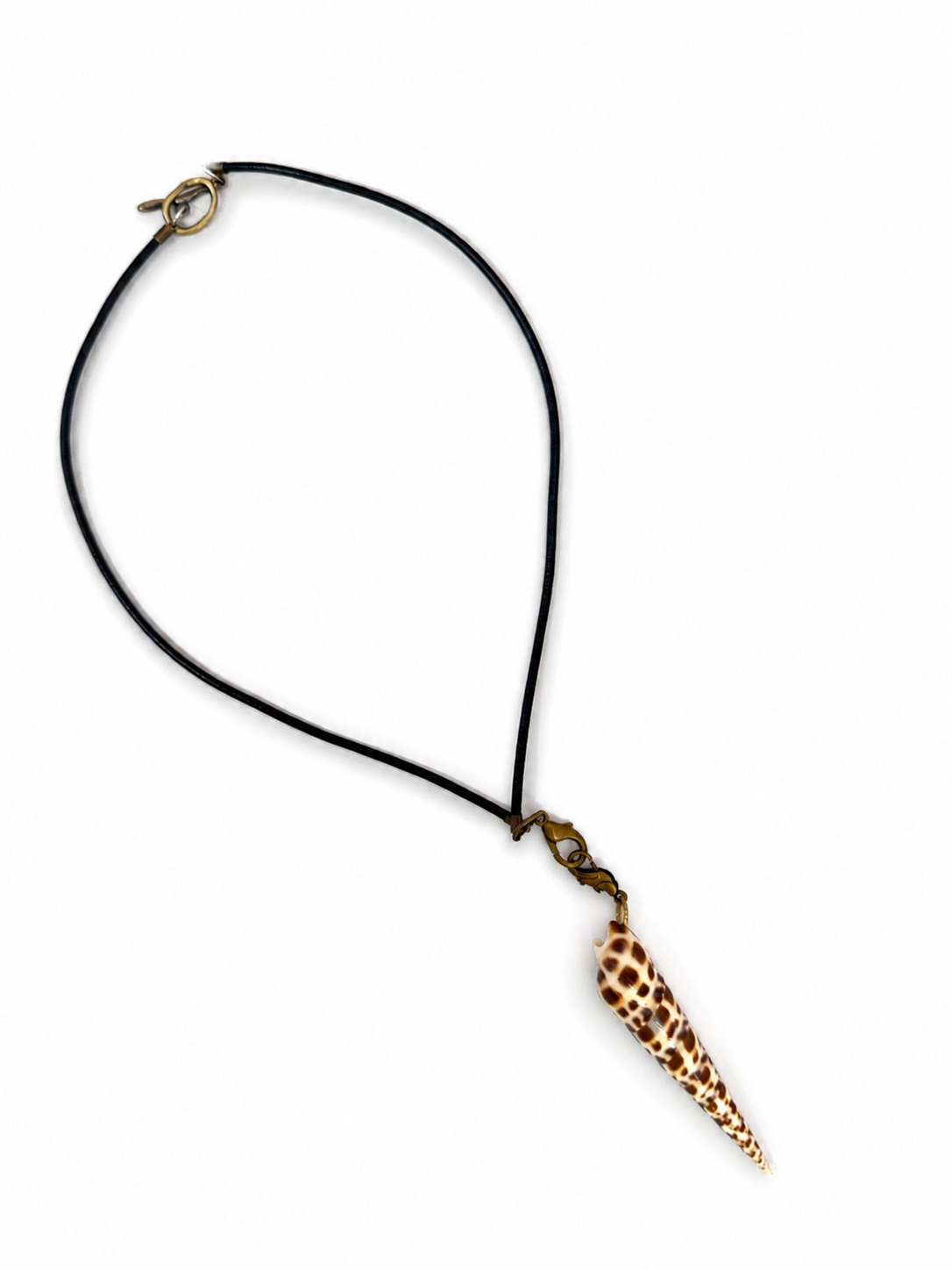 Spotted Cone Shell Necklace by Rhondi Rocks Jewelry Rhondi Rocks