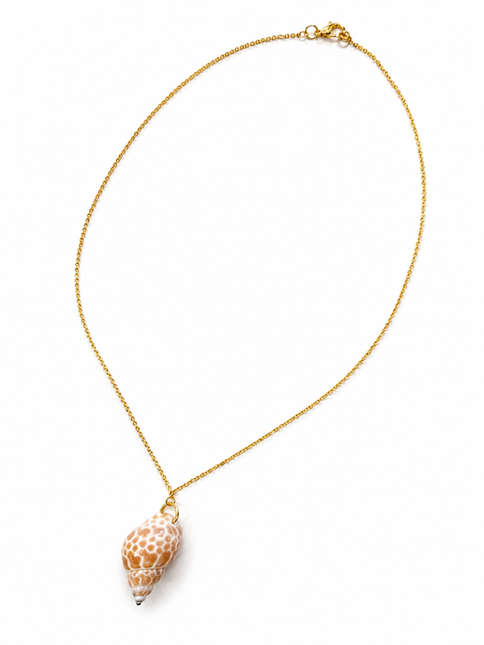 Blush Spiral Shell Necklace by Rhondi Rocks