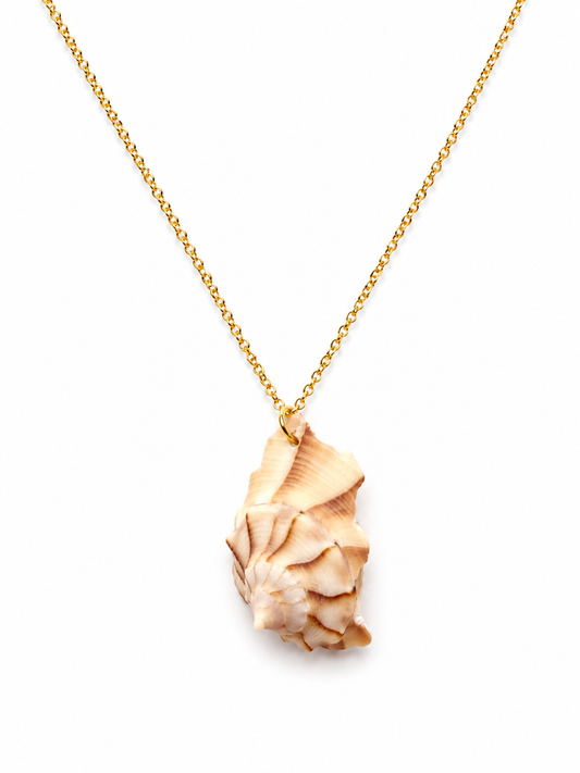 Ivory Conch Shell Necklace by Rhondi Rocks