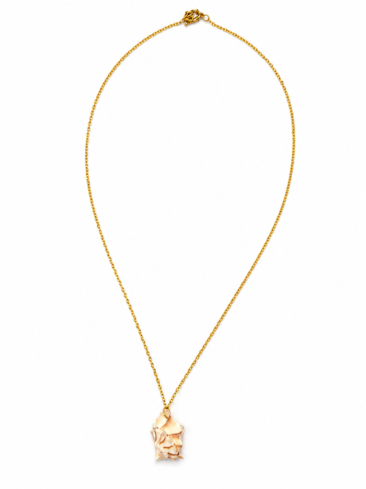 Ivory Conch Shell Necklace by Rhondi Rocks