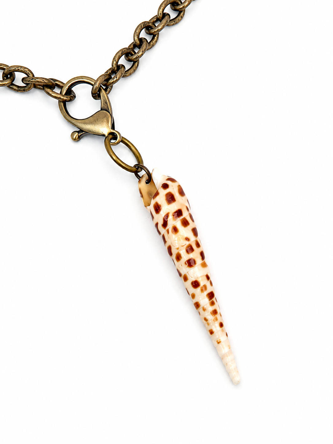 Brass Link Chain Spotted Shell Necklace by Rhondi Rocks Jewelry Rhondi Rocks