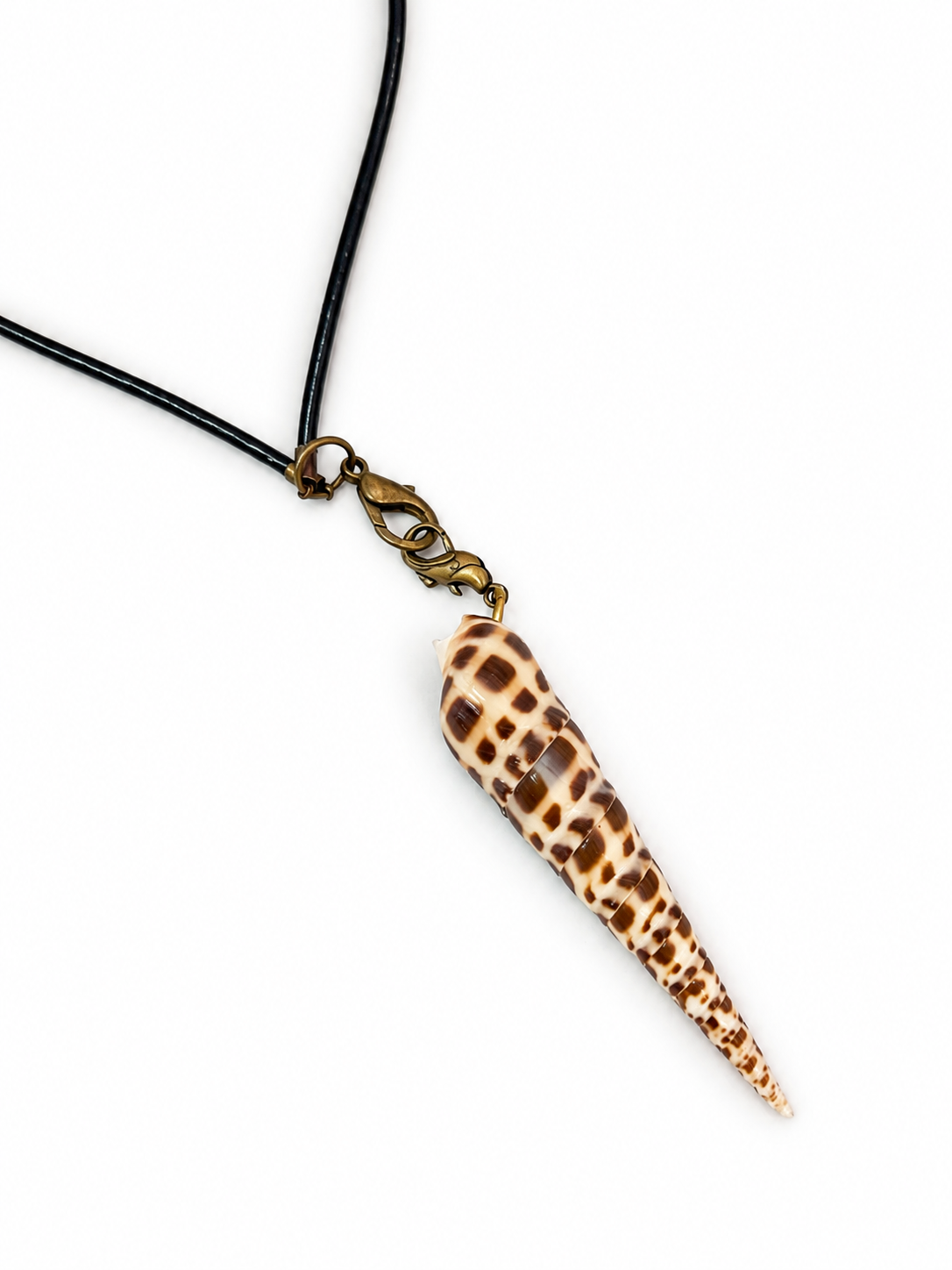Spotted Cone Shell Necklace by Rhondi Rocks Jewelry Rhondi Rocks