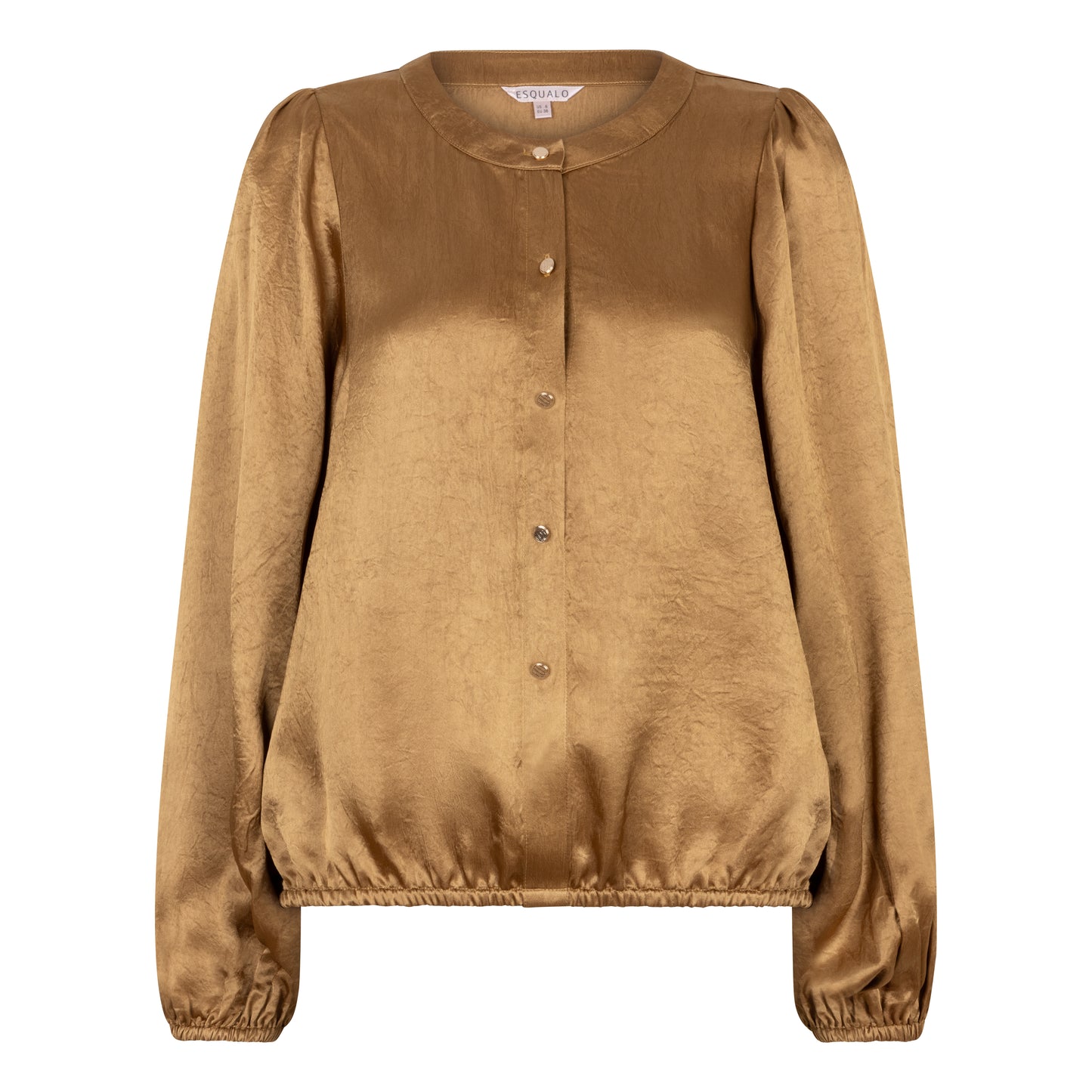 Balloon Sleeve Blouse