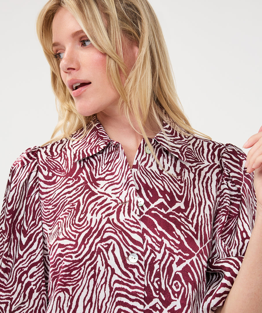 Zebra Short-Sleeve Blouse by EsQualo in Print | Maison Khloe